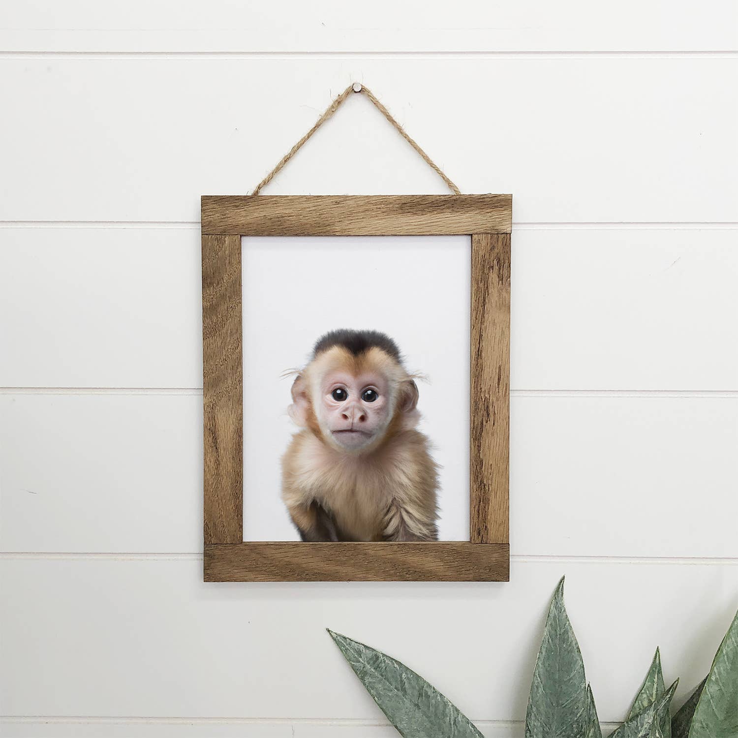 Cute Baby Monkey Framed Wall Art for Nursery or Kid's Room