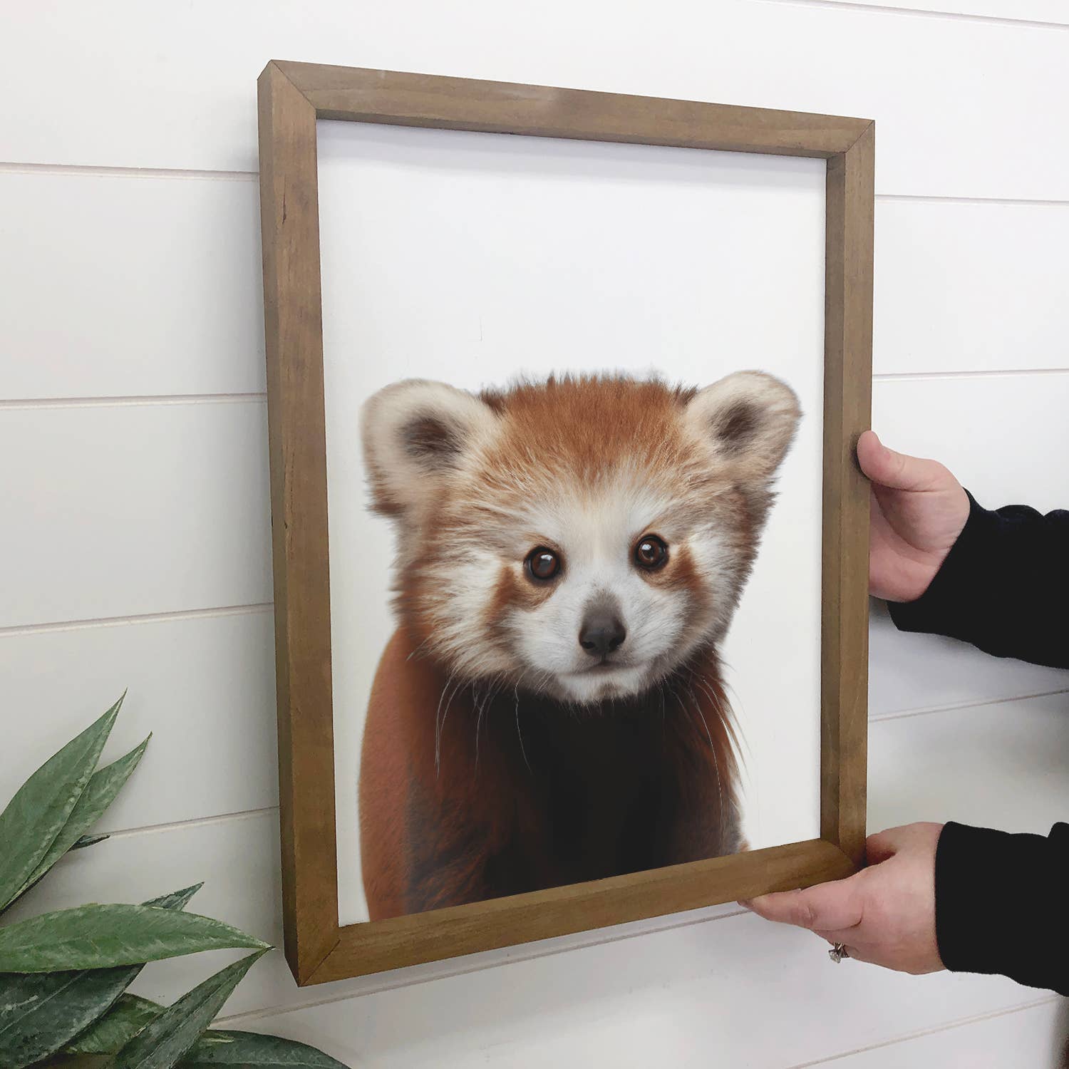 Cute Baby Red Panda Wood Sign Animal Wall Art