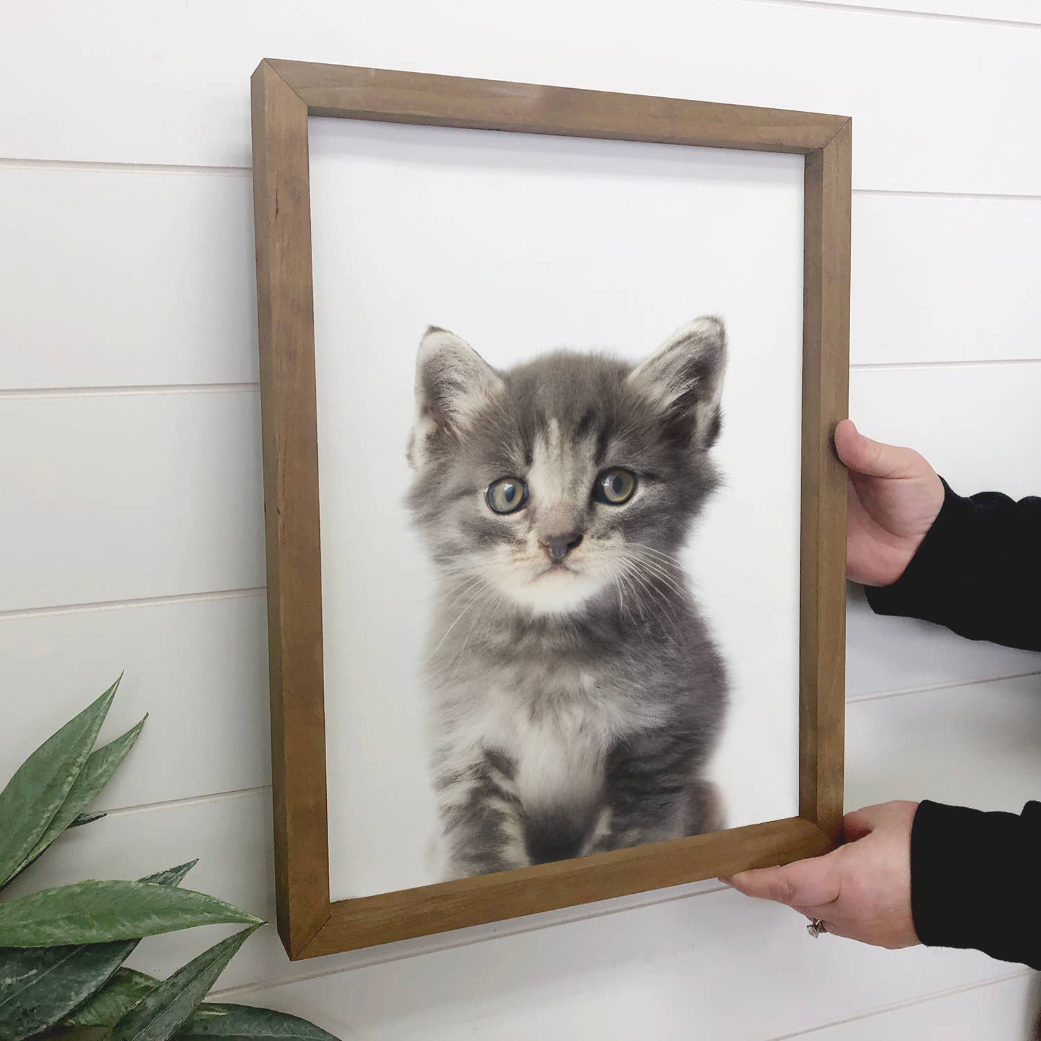 Baby Cat Wood Sign Kitten Cute Kid's Room Animal Wall Art