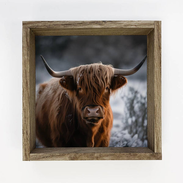 Highland Cow in Snow - Farmhouse Wall Decor - Framed Photos