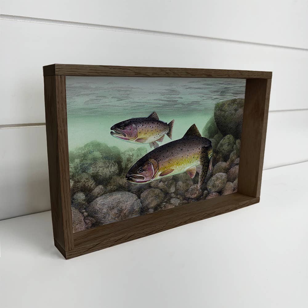 Cutthroat Trout - Fish Canvas Art - Wood Framed Artwork