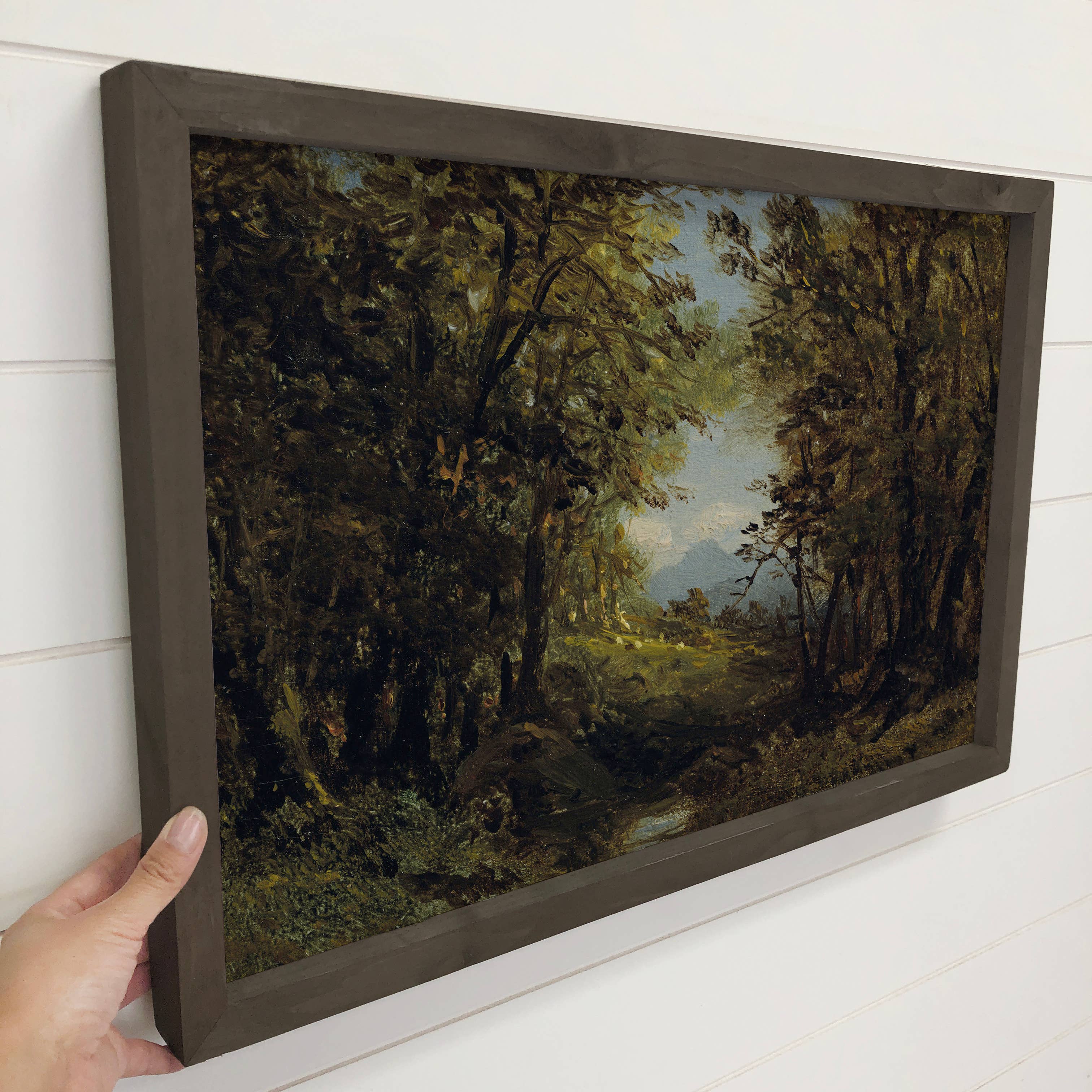 Clearing in the Trees - Nature Landscape Canvas Art - Framed