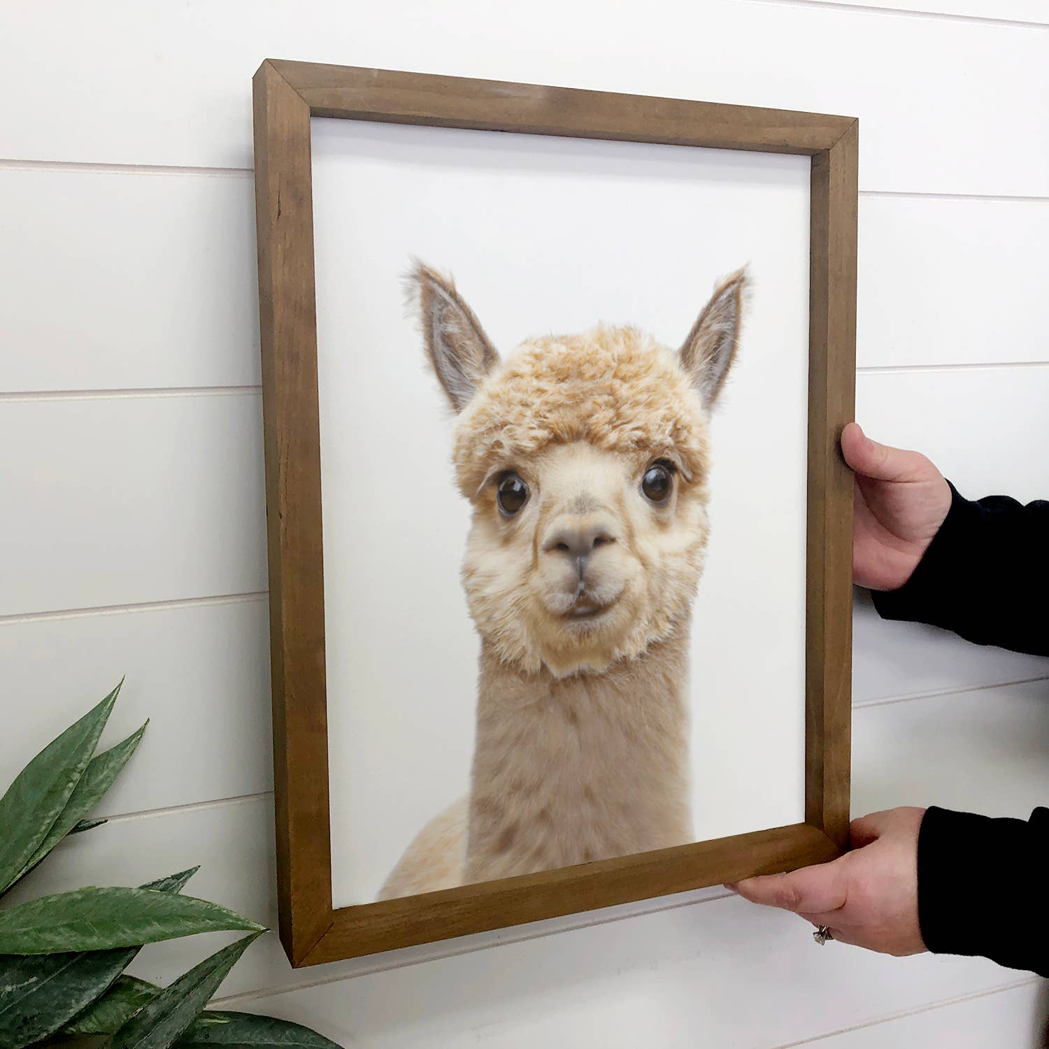 Baby Alpaca Wood Farmhouse Sign Cute Nursery Wall Art