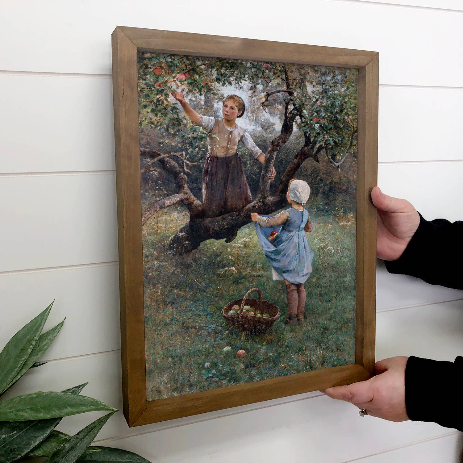 Apple Pickin' Girls - Apple Picker Canvas Art - Wood Framed