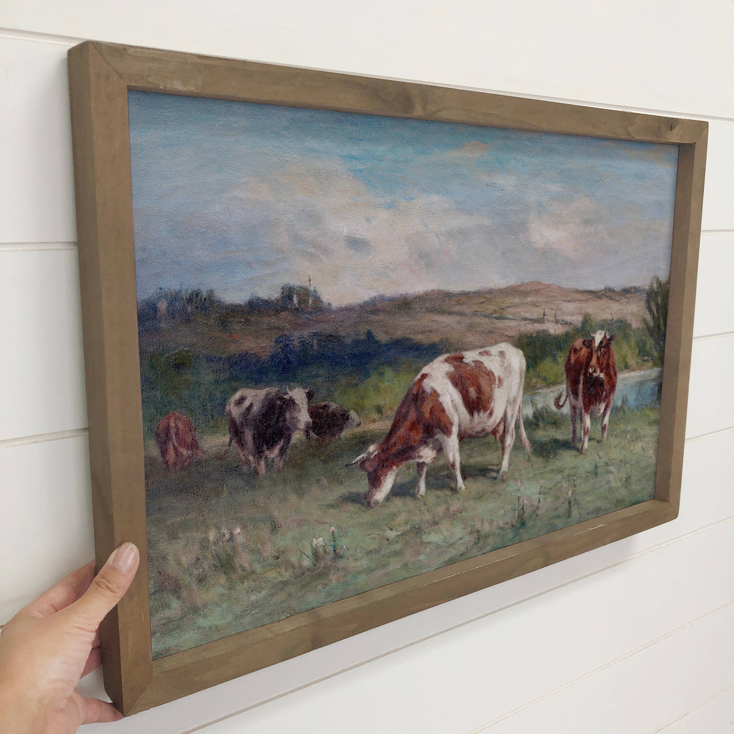 Pasture Cows - Farm Animal Canvas Art - Wood Framed Decor