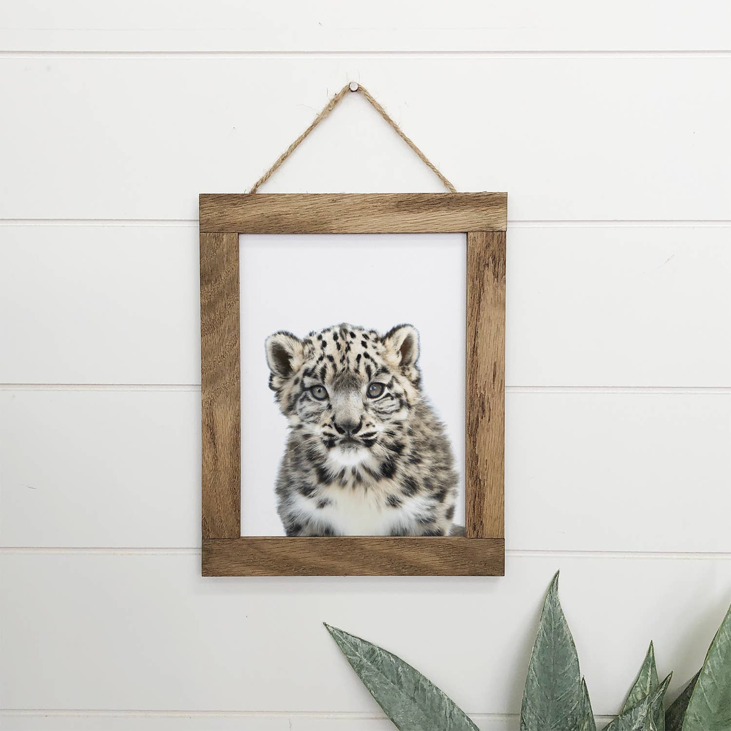 Baby Snow Leopard Wood Sign Cute Animal Wall Art