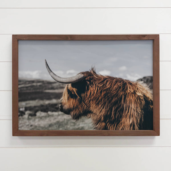 Highland Cow Sideways - Animal Photograph - Wood Framed Art
