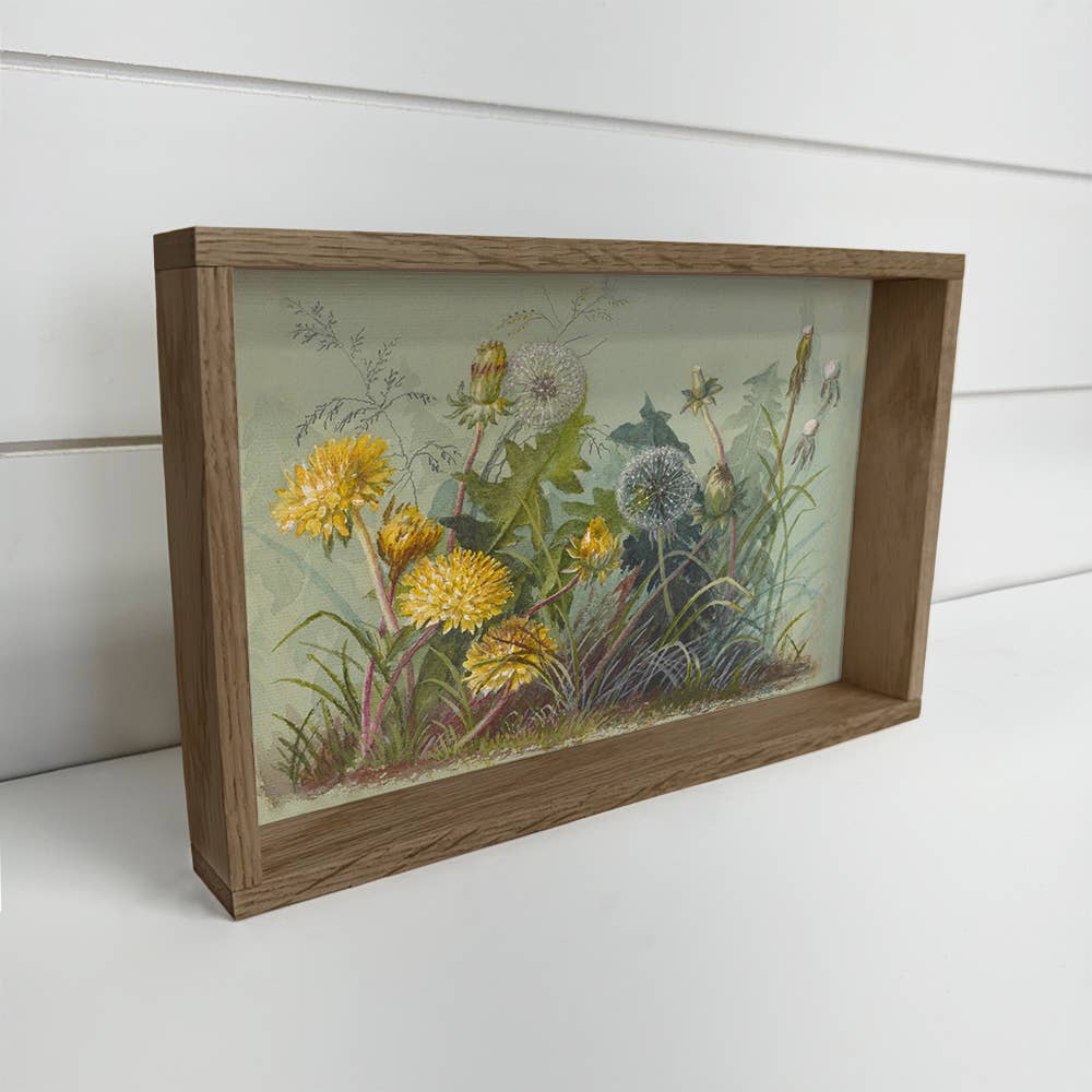 Dandelion Botanicals - Flower Canvas Art - Wood Framed Art
