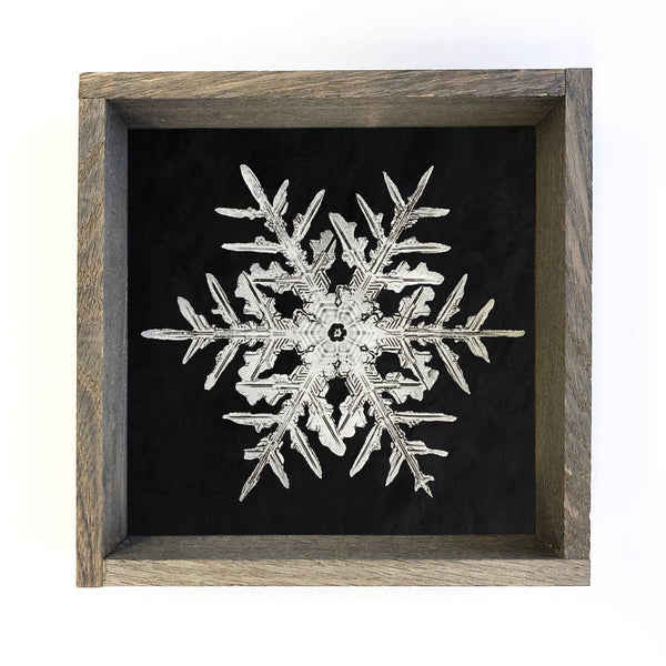 Real Snowflake 2 - Winter Canvas Wall Art - Snowflake Decor