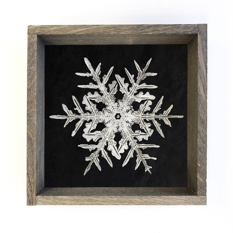 Real Snowflake 2 - Winter Canvas Wall Art - Snowflake Decor