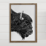 Bison Portrait - Framed Animal Photograph - Ranch House Art