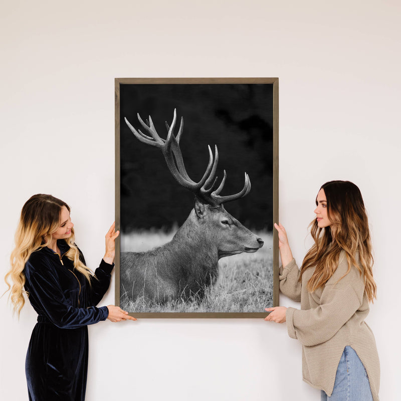 Elk Profile Black and White - Wildlife Photography - Framed