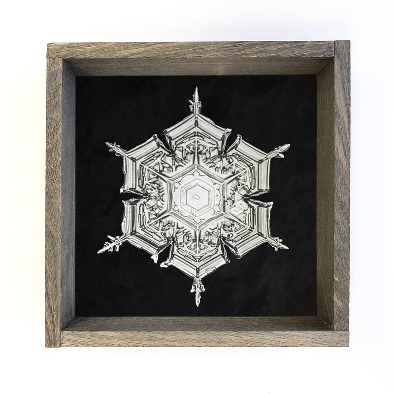 Real Snowflake 4 - Winter Canvas Wall Art - Snowflake Decor