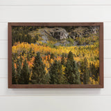 Colorado Fall Aspens - Colorado Landscape - Wood Framed Art