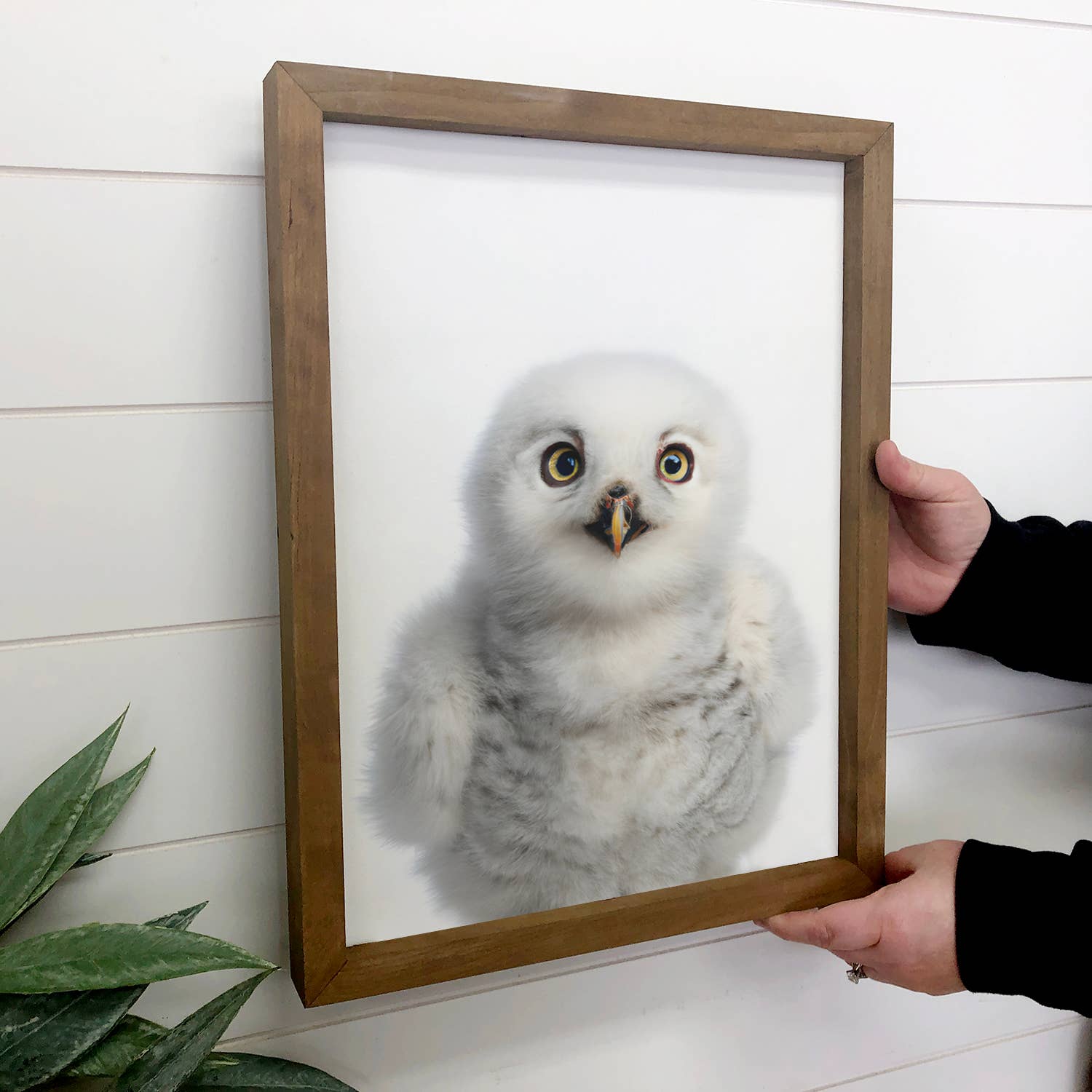 Baby Snow Owl Wood Sign Cute Animal Bird Wall Art
