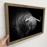 Highland Long Hair Cow - Highland Cow Black and White Photo