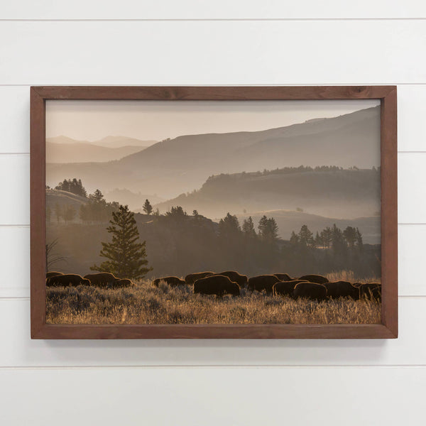 Yellowstone Bison Herd - Framed Wildlife Photograph - Ranch