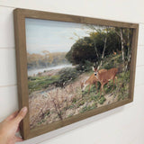 Deer in the Clearing - Wildlife Canvas Art - Wood Framed Art