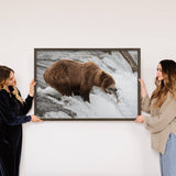 Brown Bear Fishing - Framed Wildlife Photography - Cabin Art