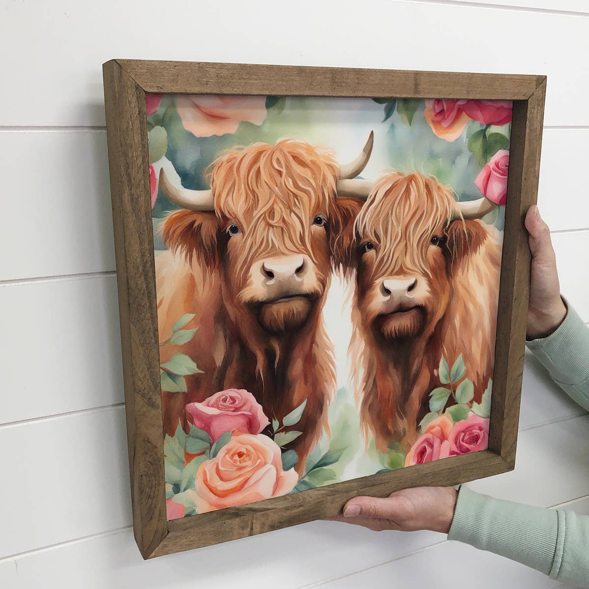 Highland Cow Pair Roses - Spring Time Highland Cow Canvas