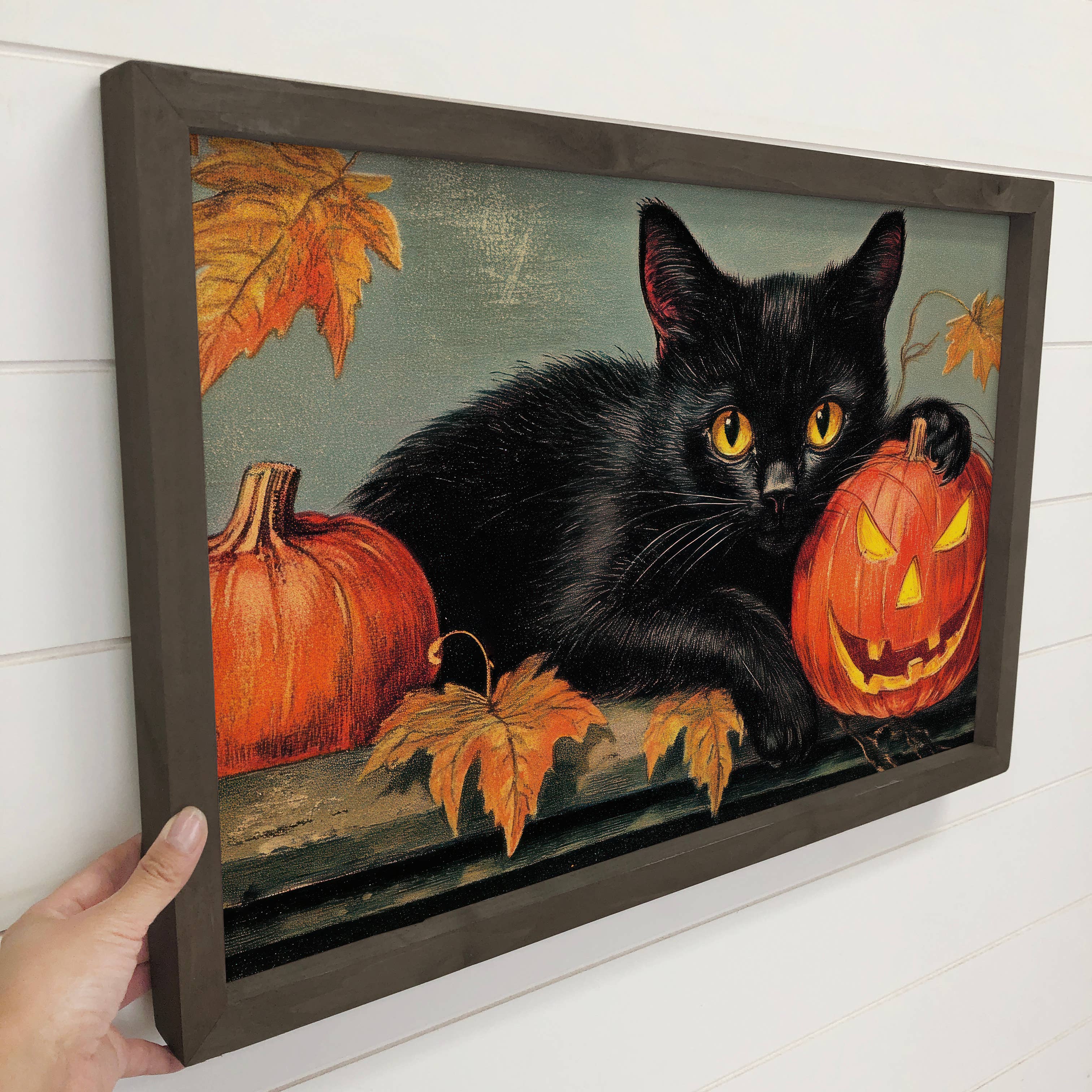 Black Cat Jack-O-Lantern - Halloween Canvas Art - Framed Art