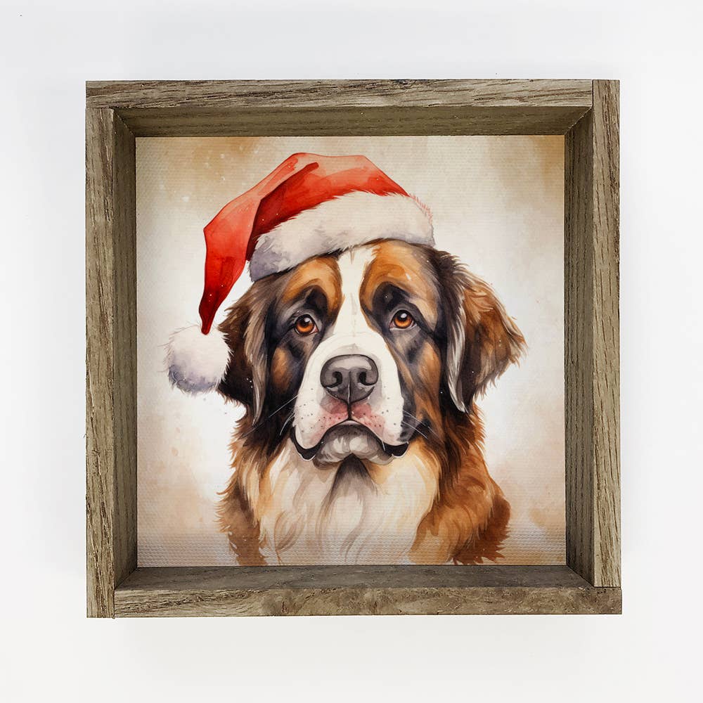 St Bernard Santa Hat - Cute Holiday Animal Canvas Art