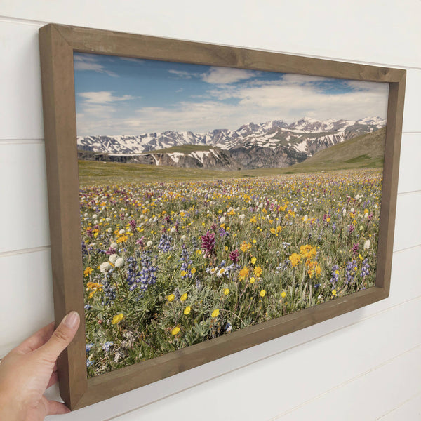 Wildflower Beartooth Pass - Nature Canvas Photograph - Cabin