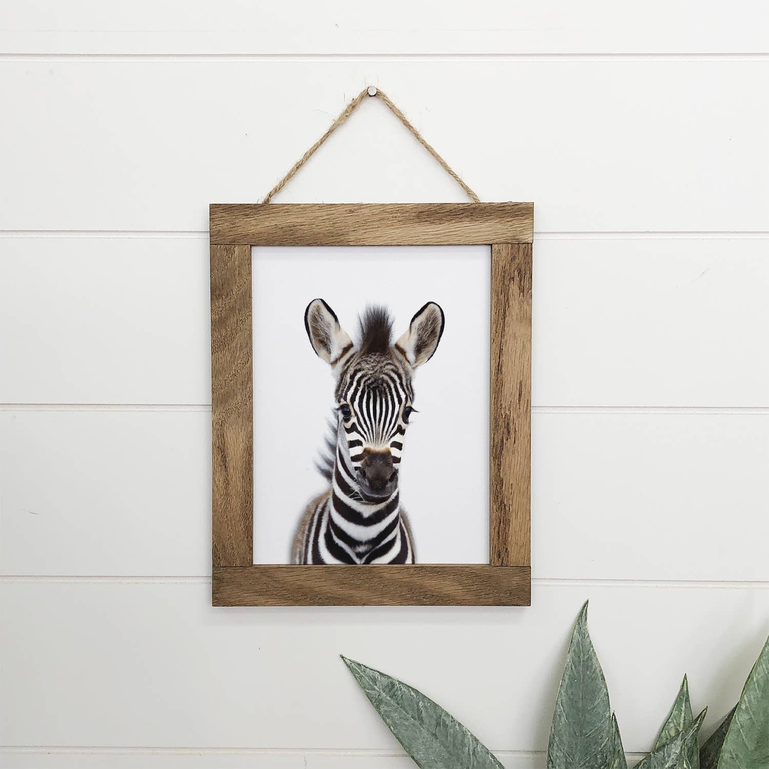 Baby Zebra Wood Sign Cute Animal Wall Art