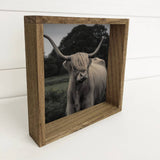 Well Groomed Highland Cow Small Canvas Sign