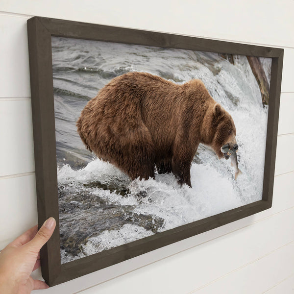 Brown Bear Fishing - Framed Wildlife Photography - Cabin Art