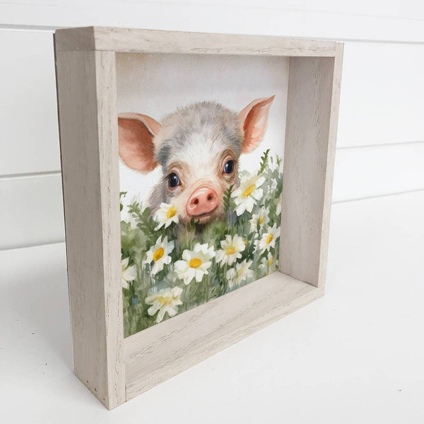 Piggy & White Daisies - Cute Baby Animal Wall Art - Framed