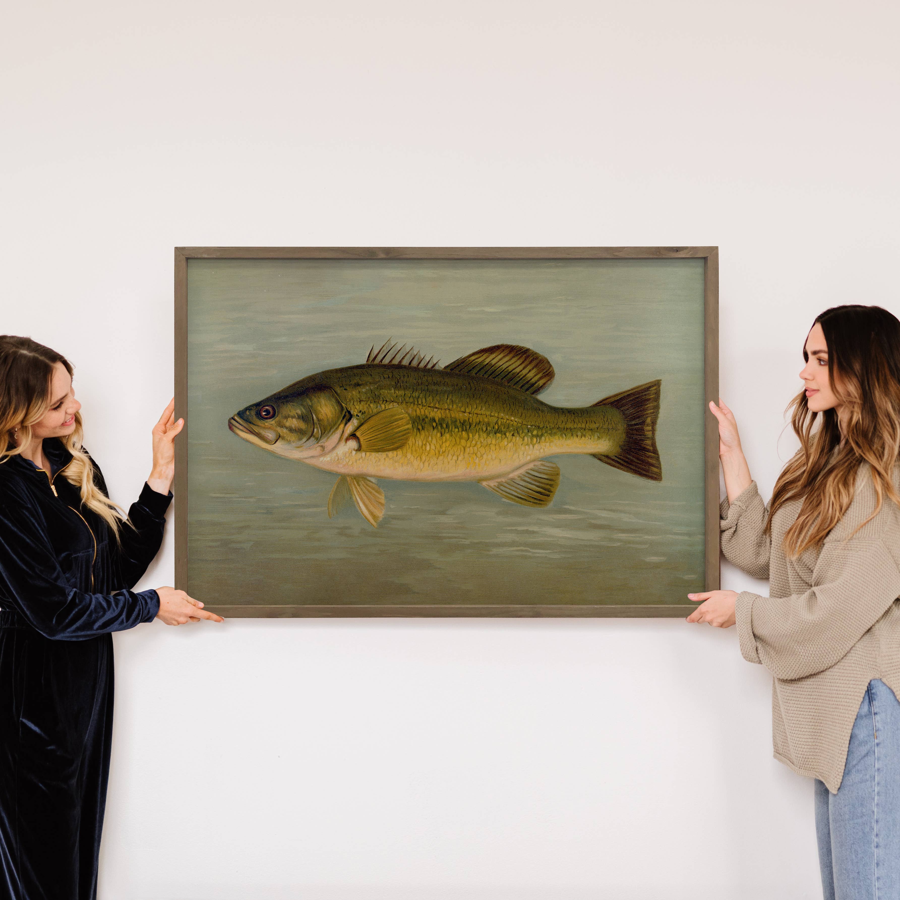 Fish Study Large Mouthed Bass - Fish Canvas Art - Wood Frame