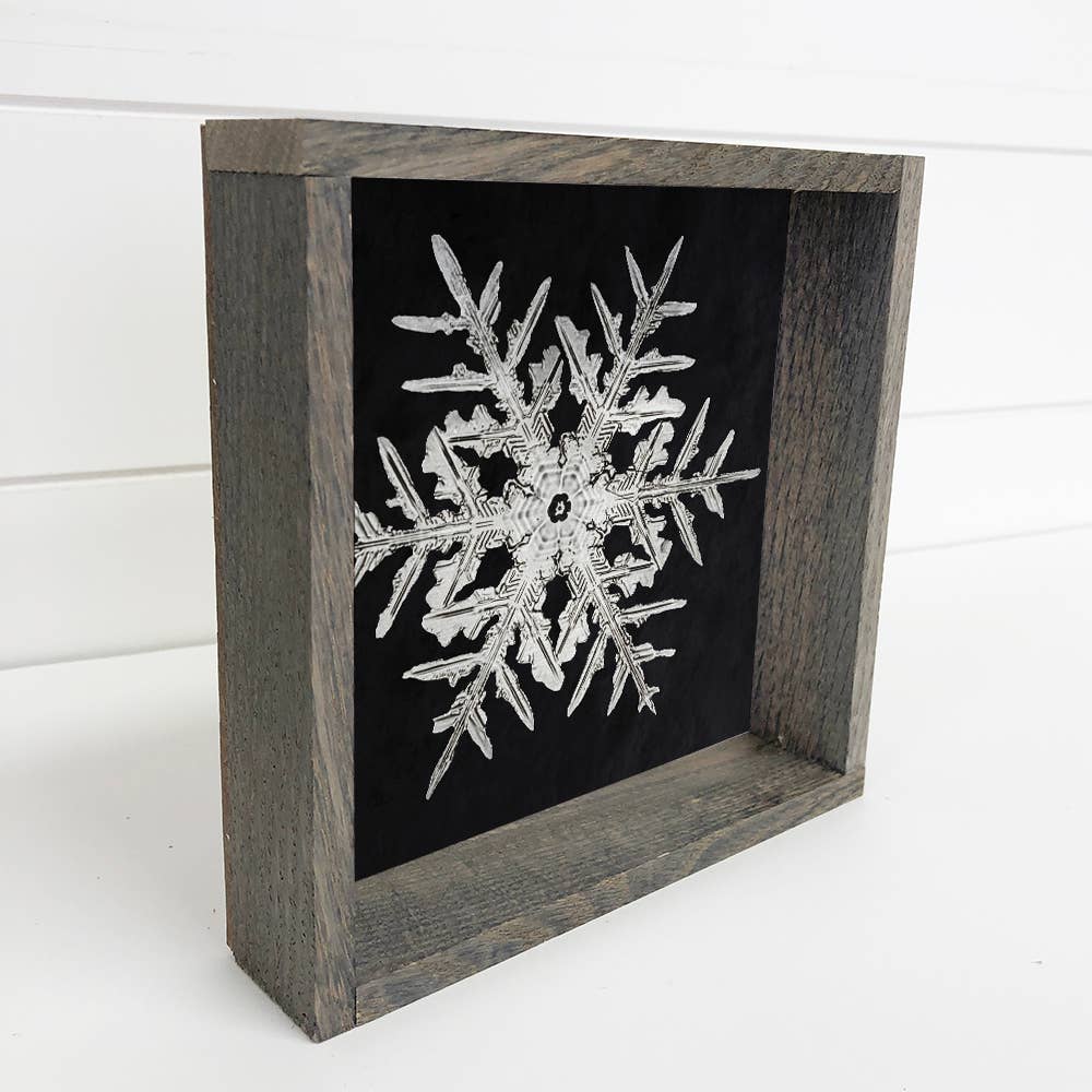 Real Snowflake 2 - Winter Canvas Wall Art - Snowflake Decor