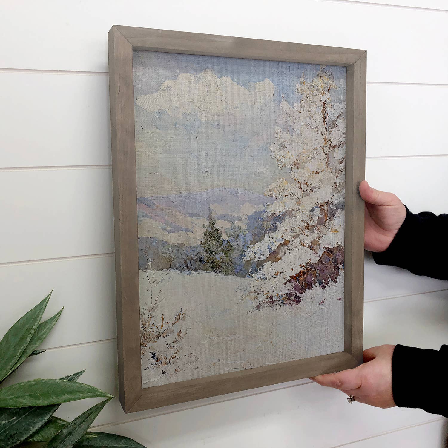 Snow Covered Trees - Mountain Landscape Canvas Art - Framed