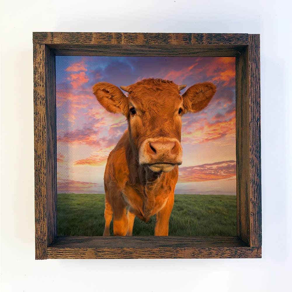 Cow at Sunset - Cute Cow Photo - Farmhouse Cow Art