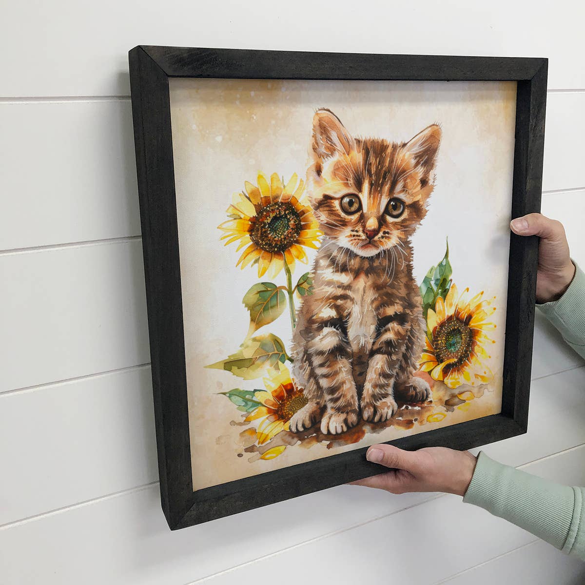 Striped Kitten With Sunflowers - Kitten Canvas Art - Framed