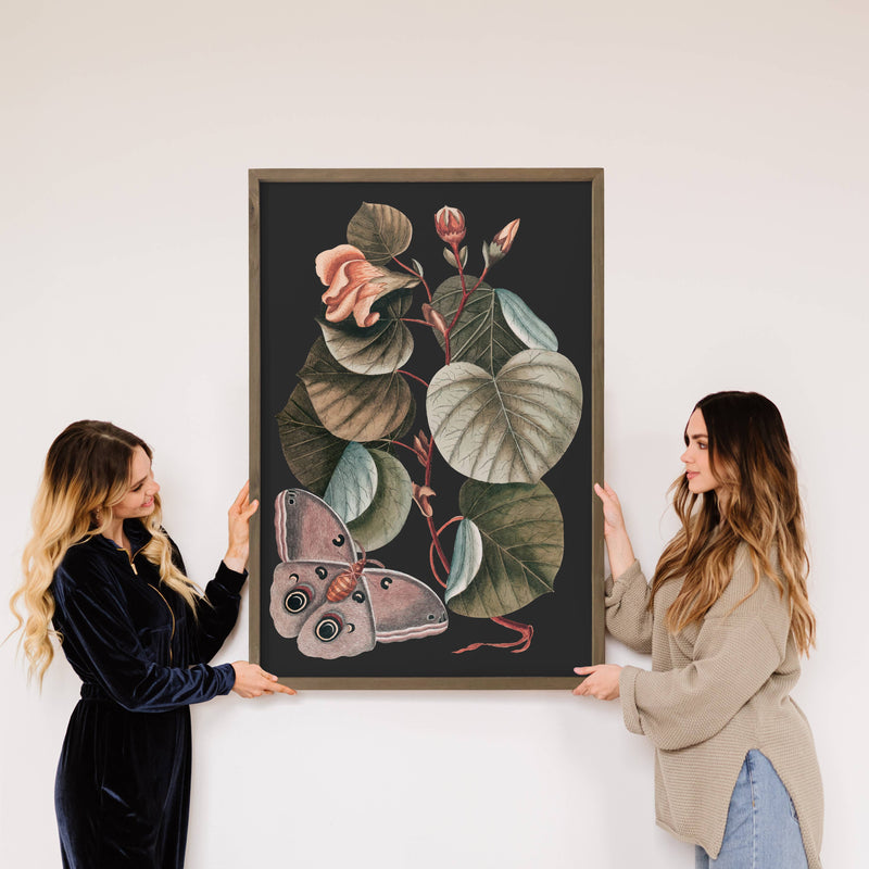 Dark Moth Botanical - Framed Nature Art - Large Wall Art
