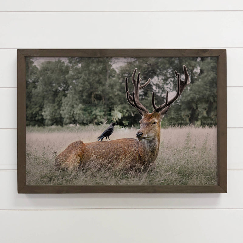 Deer and Raven - Wildlife Photography - Wood Framed Canvas