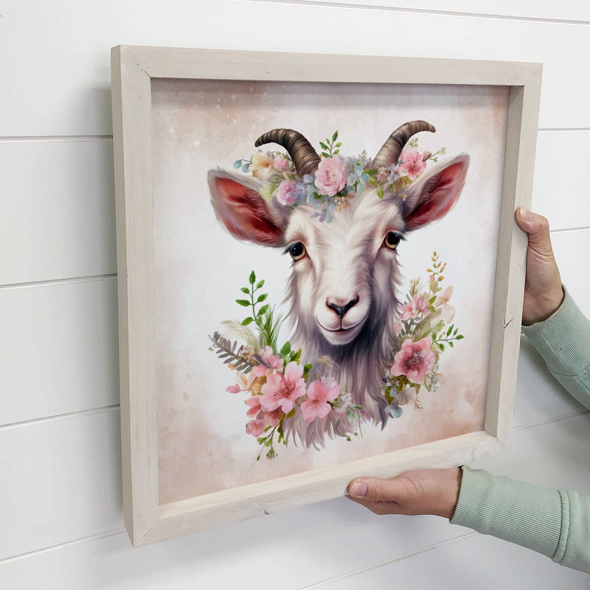 Springtime Flower Goat - Cute Goat Canvas Art - Wood Framed