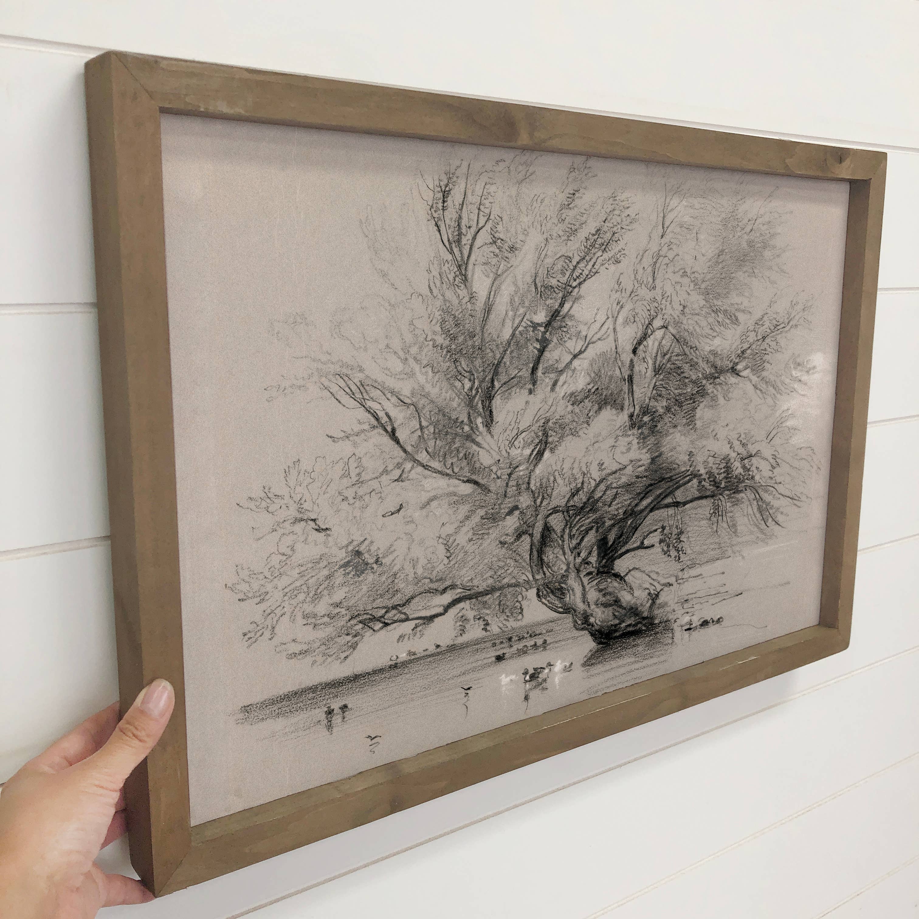 Ducks at the River Willow - Duck Canvas Art - Wood Framed