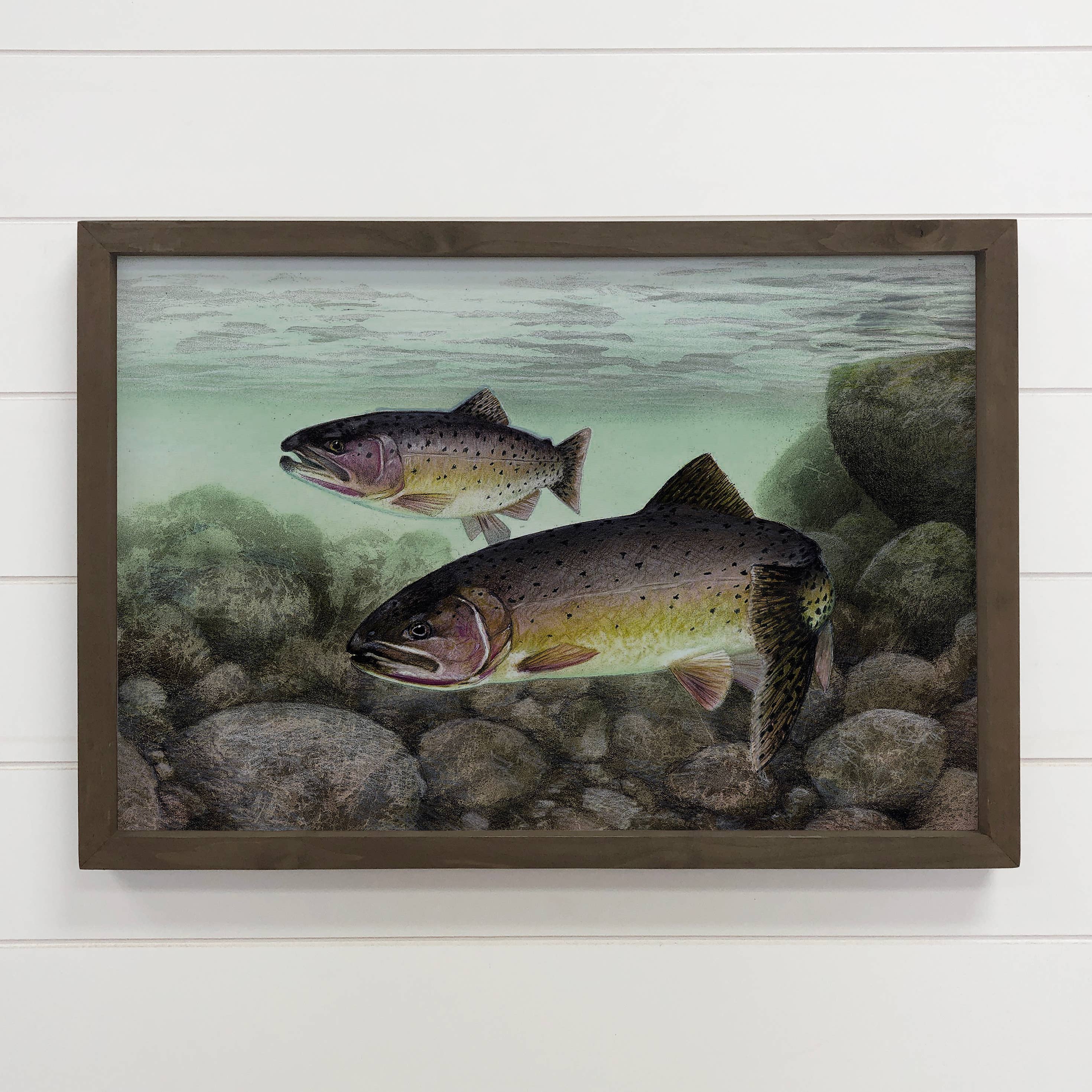 Cutthroat Trout - Fish Canvas Art - Wood Framed Artwork