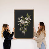 Azaleas on Black - Floral Canvas Art - Wood Framed Wall Art