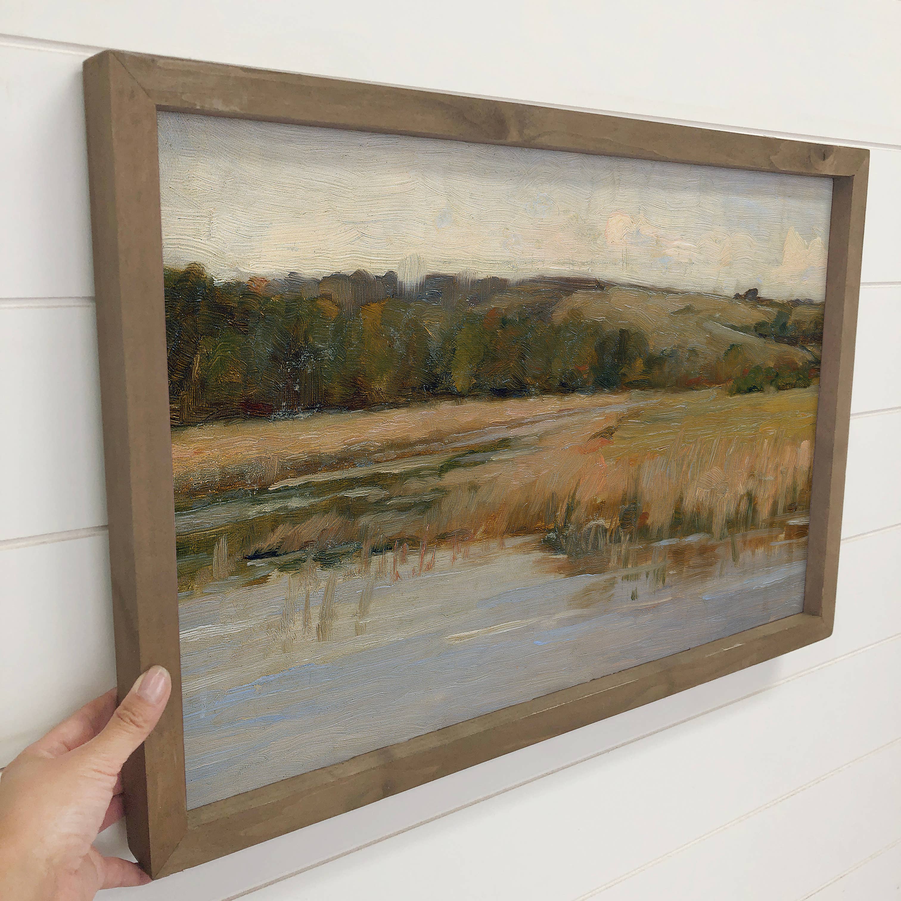 Marshland Landscape - Nature Landscape Canvas Art - Framed