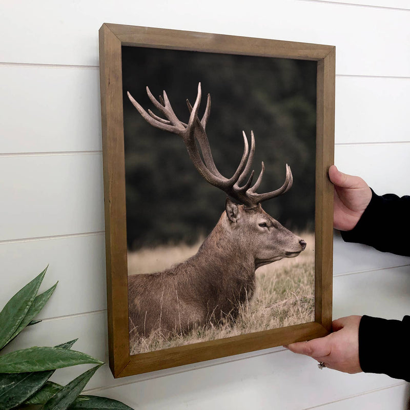 Deer in the Grass - Wildlife Photography - Wood Framed Decor