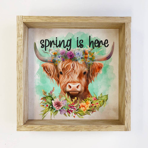 Spring Is Here Highland Cow - Cute Baby Cow - Spring Art