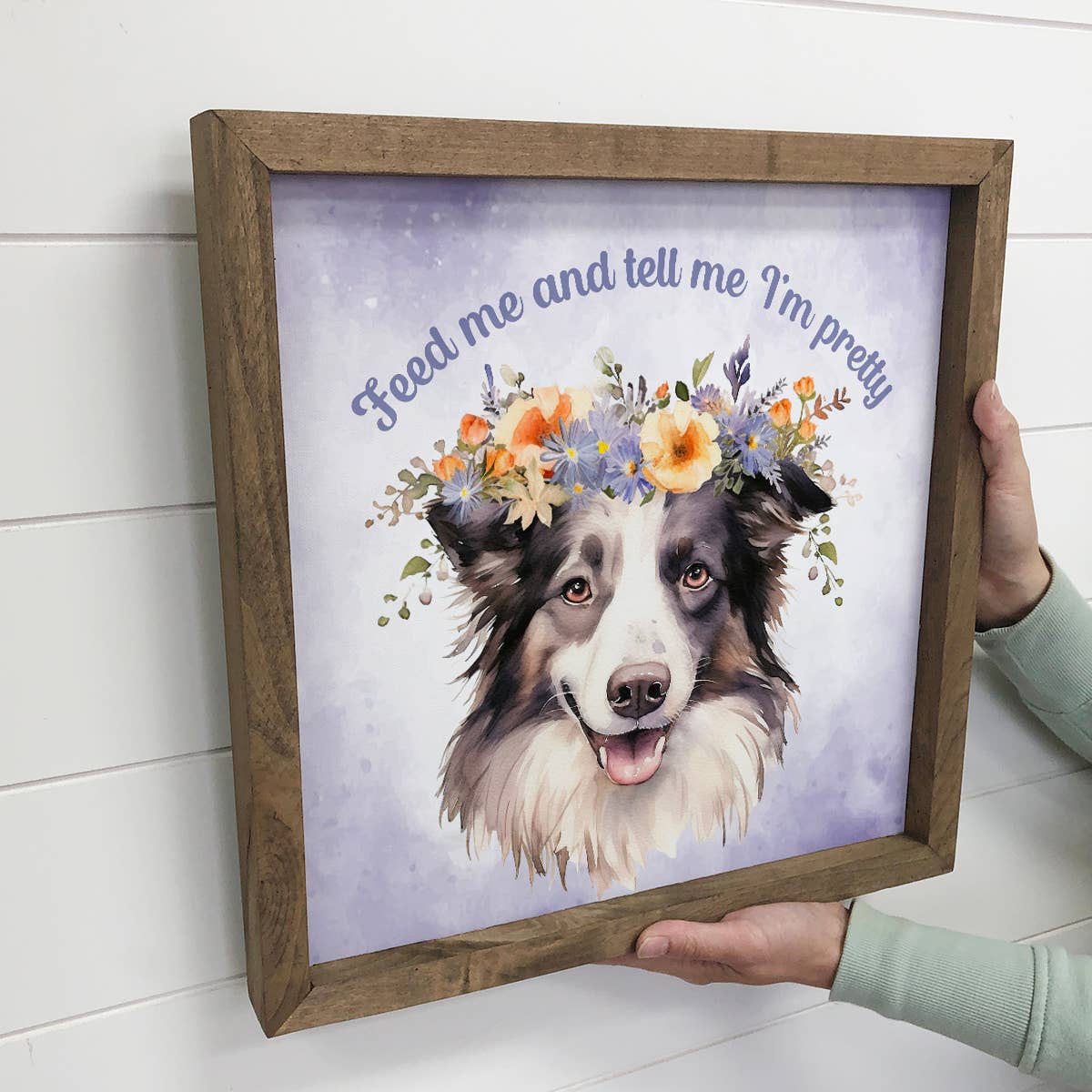 Border Collie - Feed Me & Tell Me I'm Pretty - Framed Art