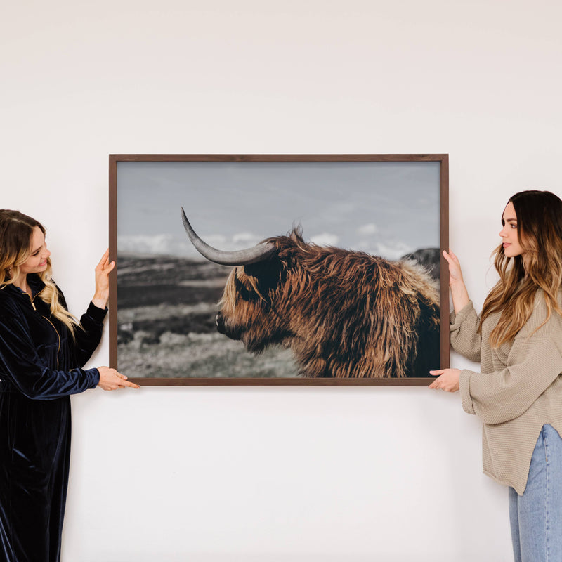 Highland Cow Sideways - Animal Photograph - Wood Framed Art