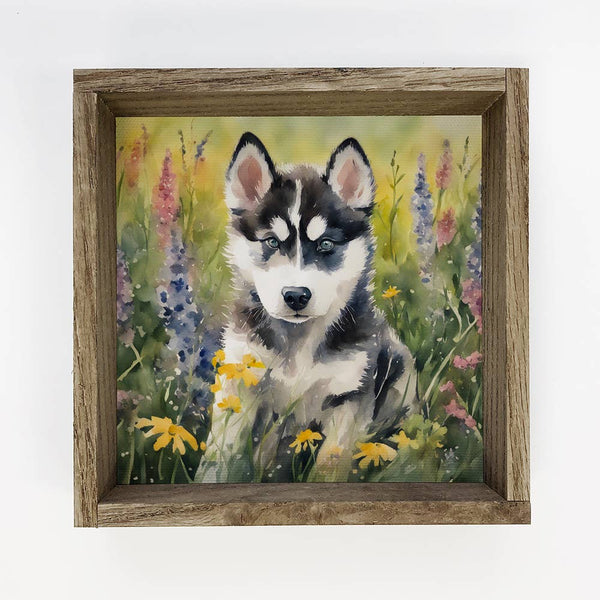 Wildflower Husky - Springtime Dog Canvas Art - Wood Framed