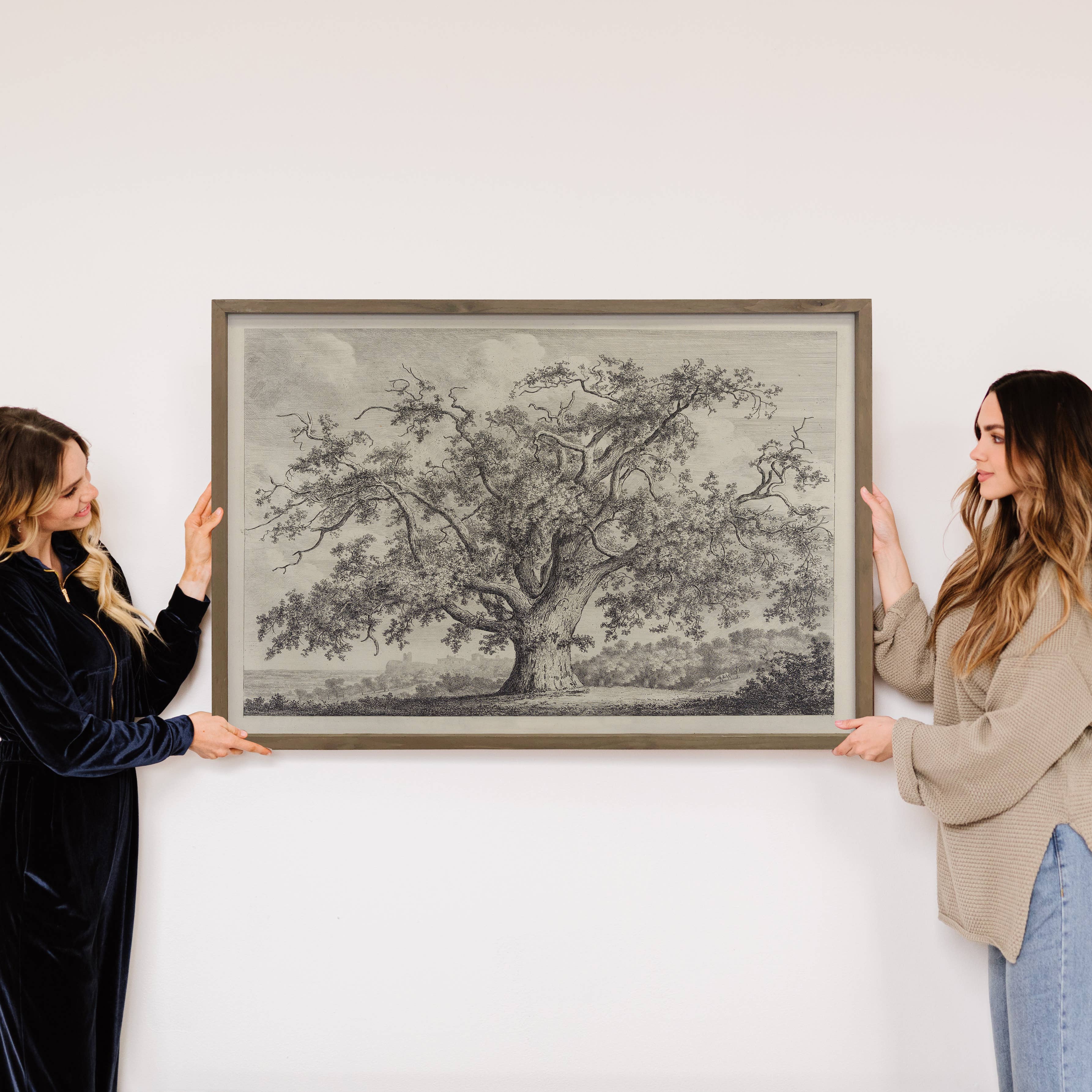 Large Old Elm Tree - Large Tree Sketch Canvas Art - Framed