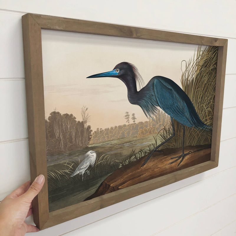 Audubon Blue Crane - Lake House Decor - Large Canvas Art